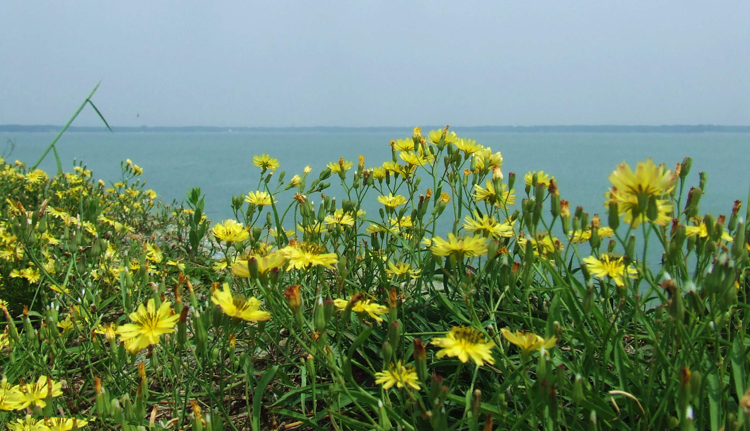 DSCF5853.jpg