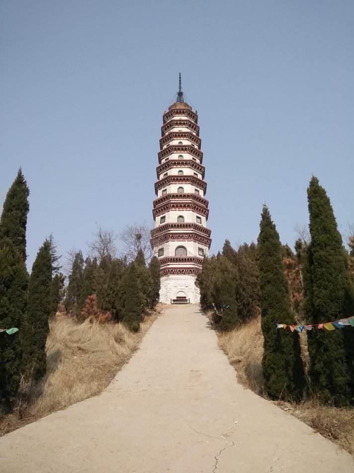 ws548541.jpg