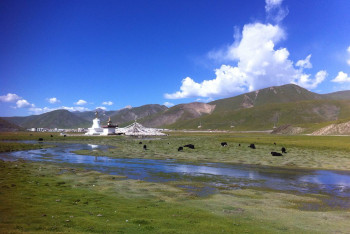 honl90.jpg