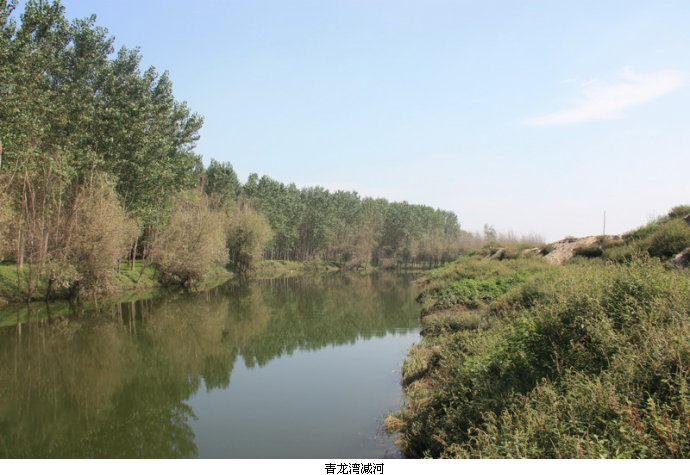qlw690.jpg