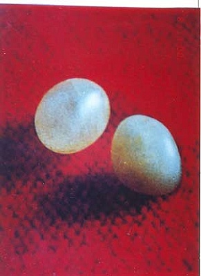 sl1226.jpg