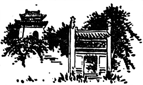 longhuz5.jpg