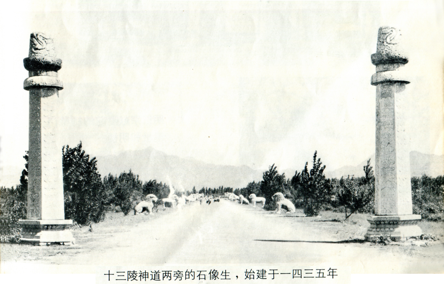 m13ldy01.jpg