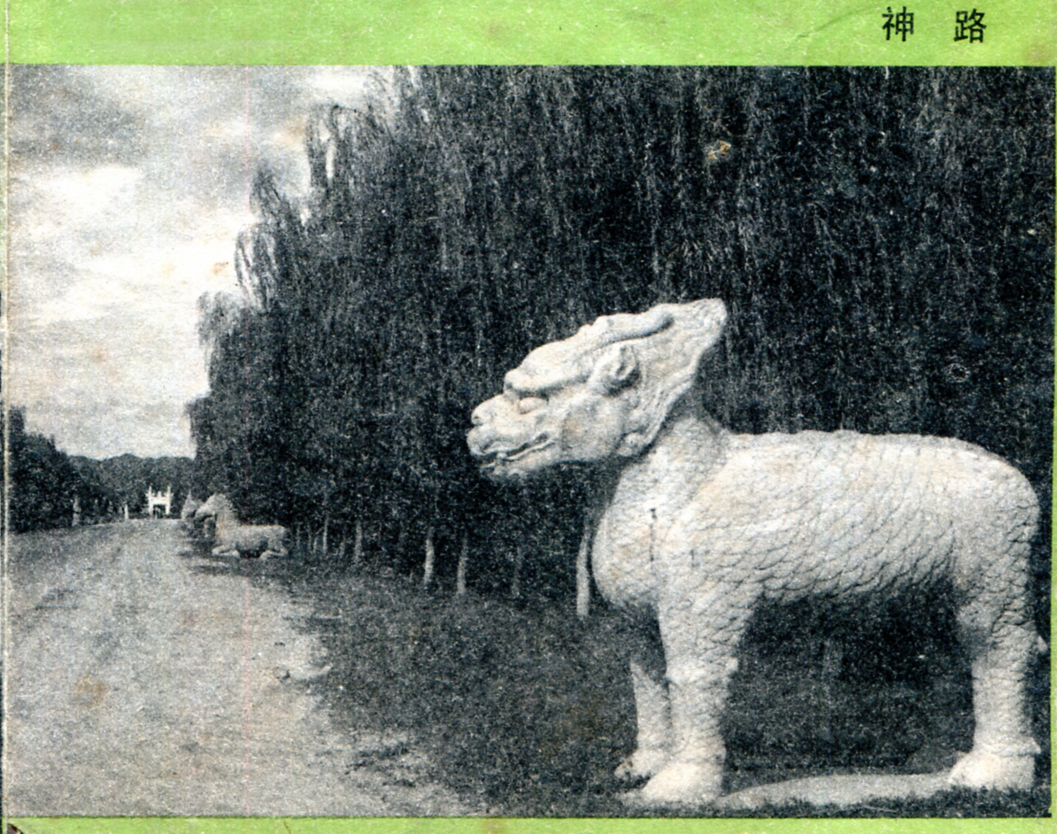 bj13l061.jpg