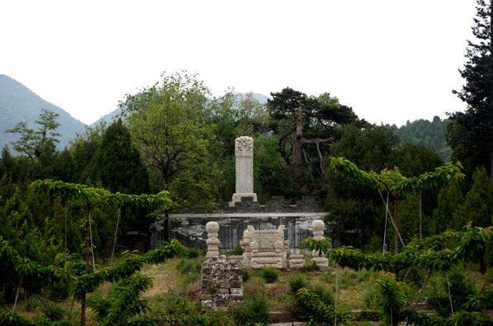 silti1.jpg