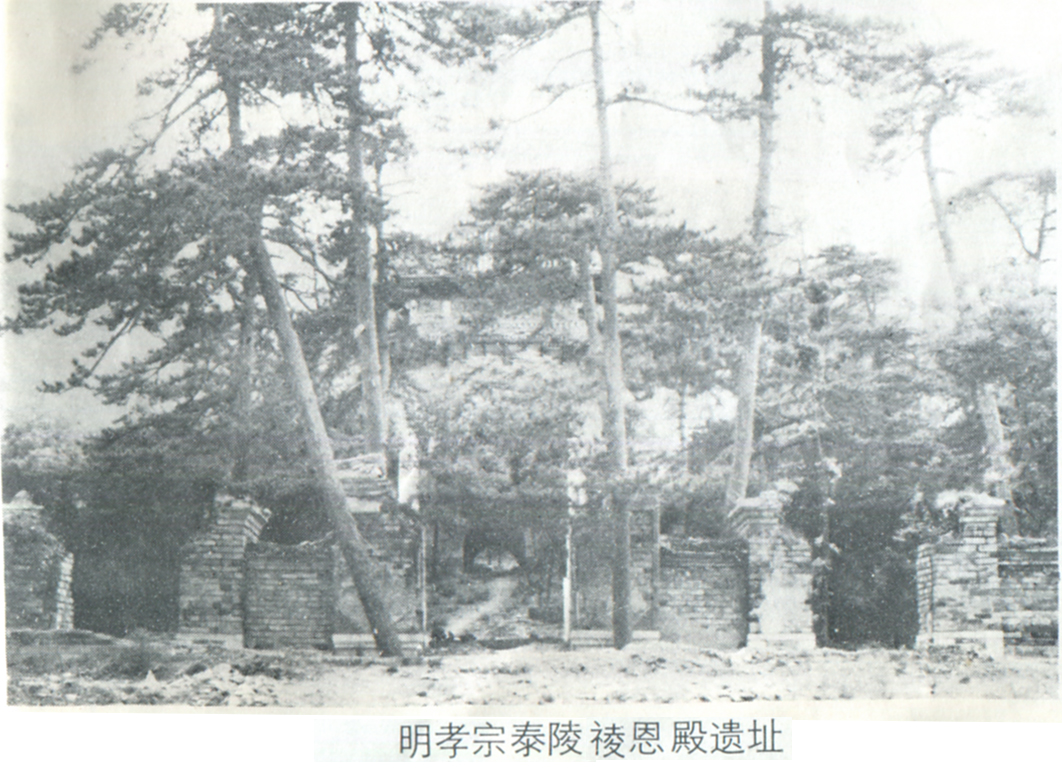 mslin4ml.jpg