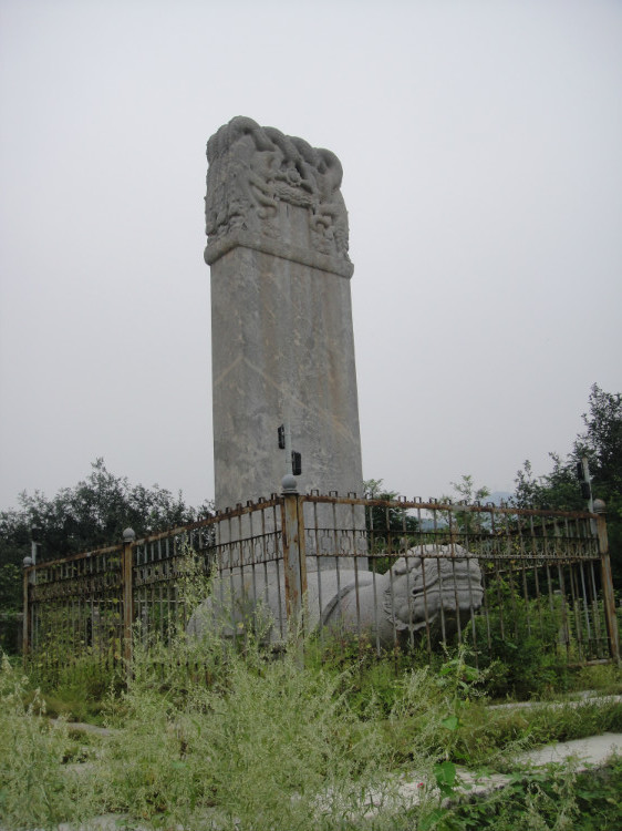 ylb301.jpg