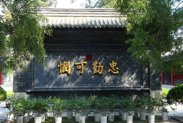zqkm0935.jpg
