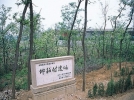 河南渑池仰韶村遗址