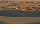 新疆“沙漠中的原始村落”达里雅博依乡
