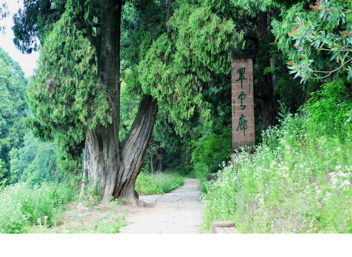 川陕金牛古道