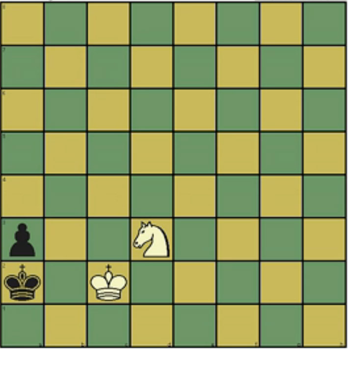 国际象棋单马巧杀王