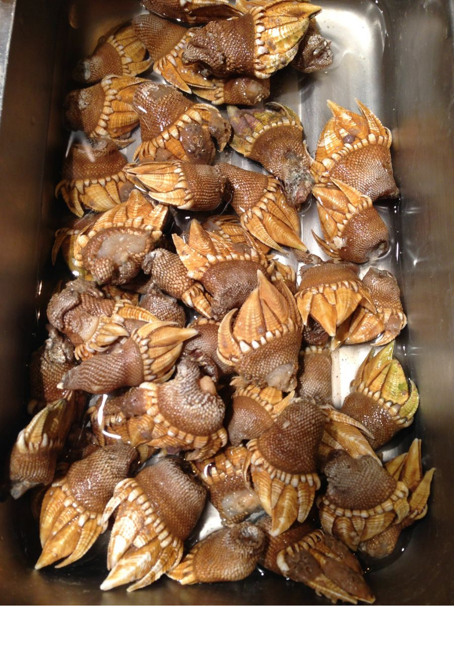 浙江宁波十大海鲜