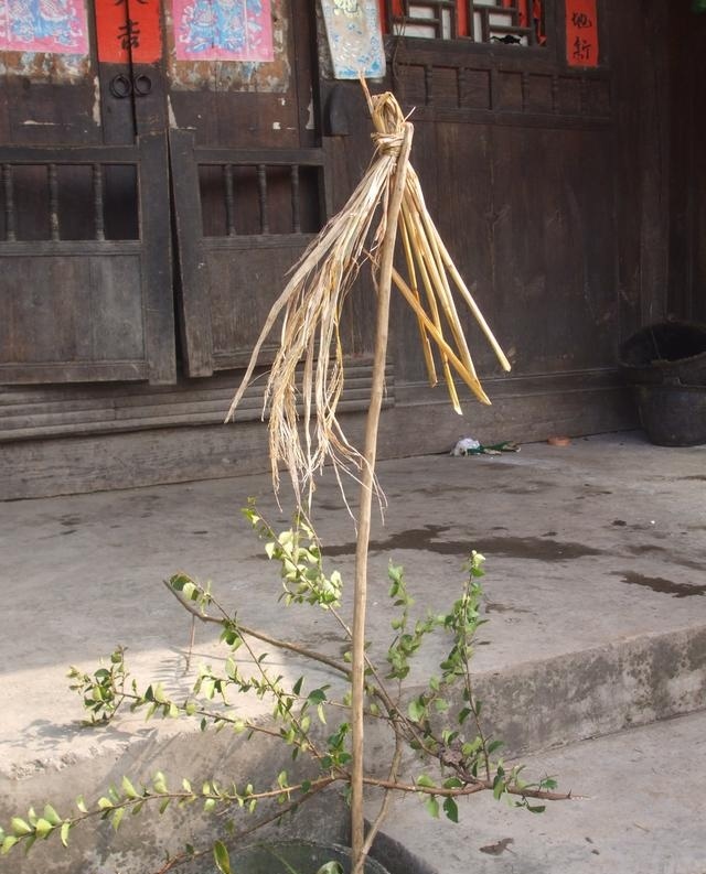 苗族习俗——草标功用与文化内涵