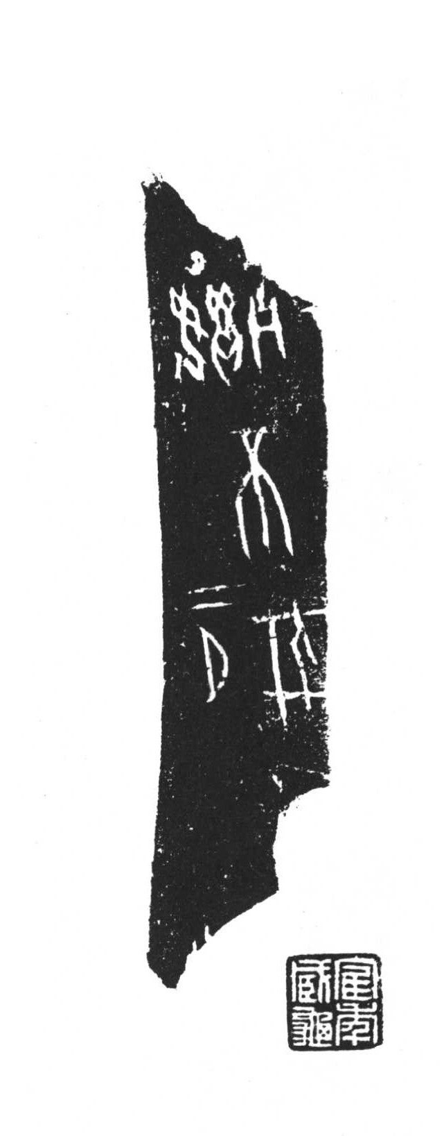 t_5.267.1.jpg