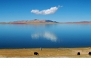 西|藏安多措那湖