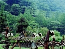 四川卧龙自然保护区