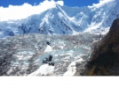 西|藏波密县米堆冰川